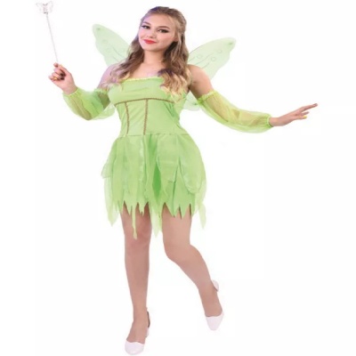 Fairy Costume